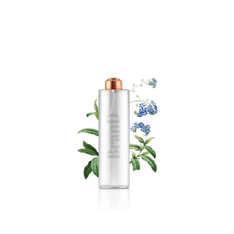 گلدان آپارتمانی تیلادنسیا